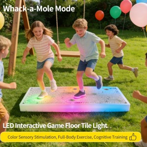 LED Interactive Game Floor Tile Light