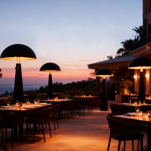 Black gas heating lamp