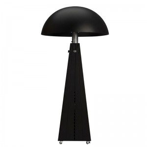 Black Electric heating lamp