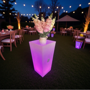 Outdoor Garden Tech 2025: How This Music Planter with App Control Dominates Backyard Parties