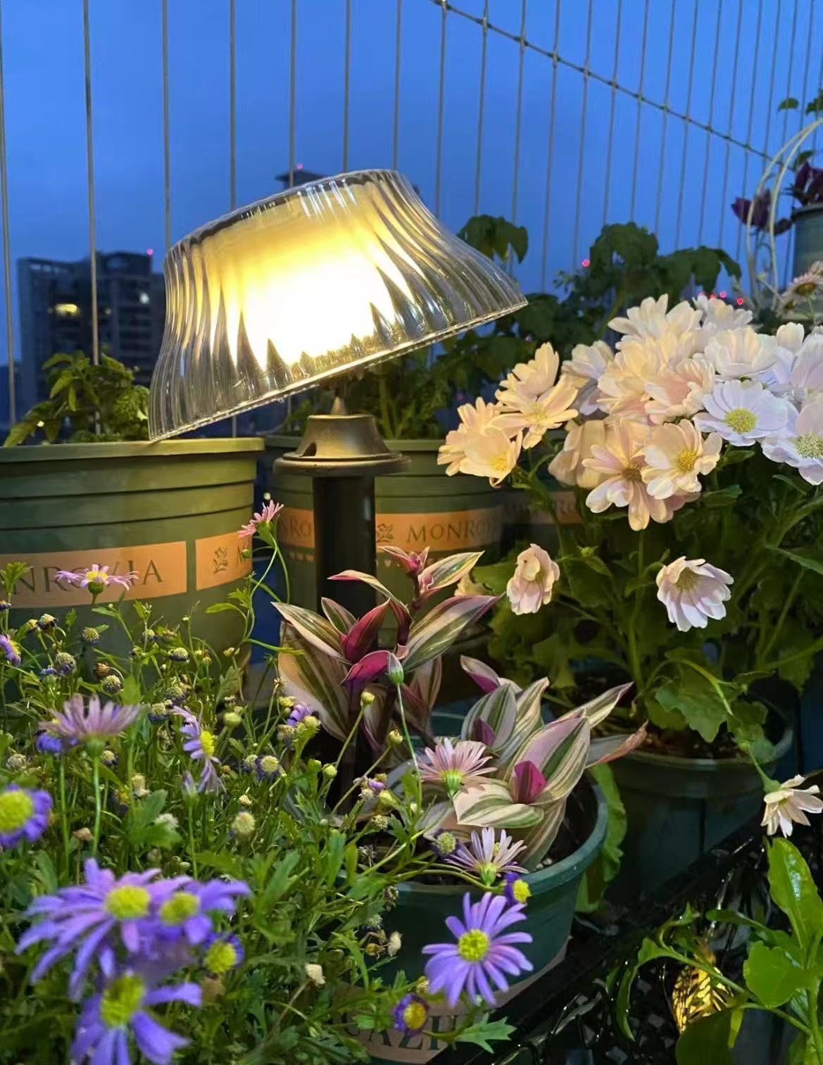 Huajun company Solar Light Product 6