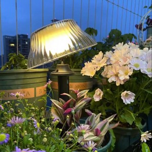 Huajun company Solar Light Product 6(1)