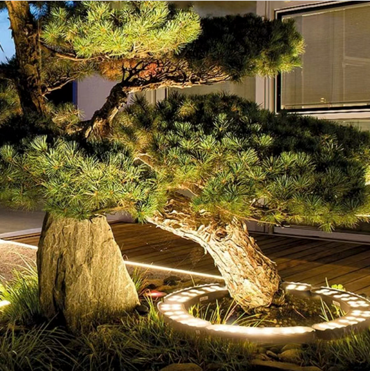 ScreenShot_2026-04-28_161947_828