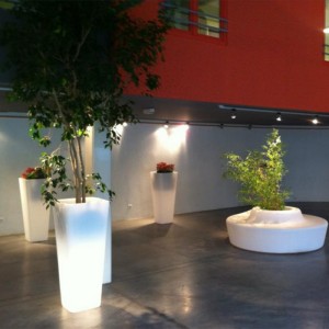 led-light-گیاه-گلدان