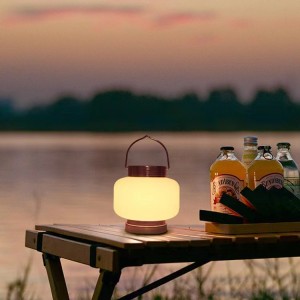 https://www.huajuncrafts.com/portable-solar-lights- outdoor-product/