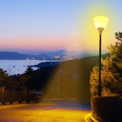 Zonne-energie: Een Dubbelzinnige Maar Belovende Bron